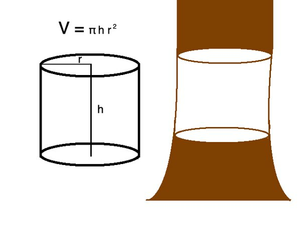 円柱の体積は、円周率×高さ×半径の2乗に等しくなります。