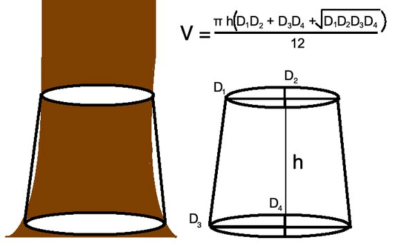Bei dieser noch realistischeren Version eines Baumstamms hängt das Volumen von der Höhe sowie den Durchmessern der beiden elliptischen Basen ab.